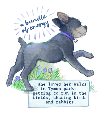 Happy golden retriever curiously looking up, illustration.