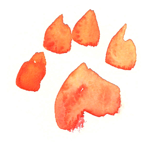 Illustrated collage of a golden retriever dog in the style of nature journal.