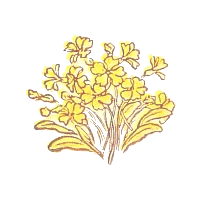 Illustrated collage of a golden retriever dog in the style of nature journal.